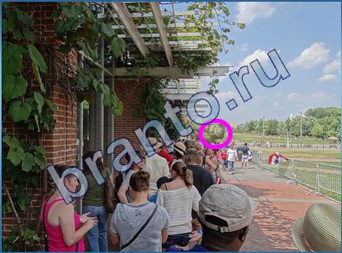 Что-то тут не так ответы в картинках Уровень 266