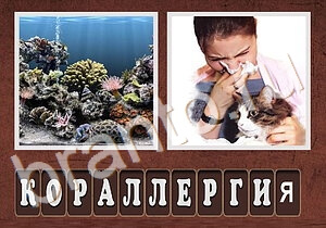 Гибриды андроид ответы к игре: уровень 195