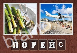 камера, девушка у денежного дерева, кофе и пар в виде сердца, девушка с покупками в Париже