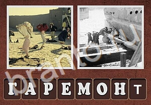 Гибриды, ответы: теле проектор, поле, за гору садится солнце, улица, фонарь, комната