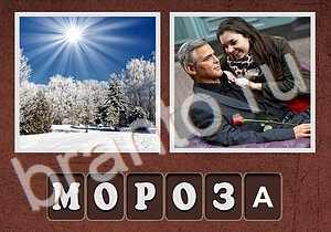 камера, девушка у денежного дерева, кофе и пар в виде сердца, девушка с покупками в Париже