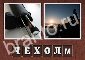 Гибриды ответы - шиповник, белая роза, бегун, девушка закрывает глаз рукой