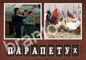 Гибриды решения: уровень 236