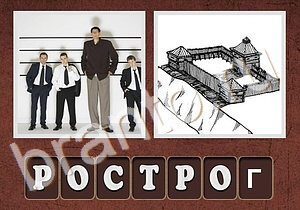 Гибриды ответы уровень 238