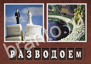 Гибриды игра на телефоне ответы уровень 248