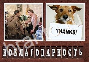 Гибриды ответы - праздник, люди пьют вино и пальмы