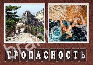 Гибриды: сварщик, бейсбольная перчатка и мяч, звезда, карман джинс