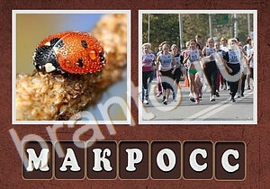 камера, девушка у денежного дерева, кофе и пар в виде сердца, девушка с покупками в Париже