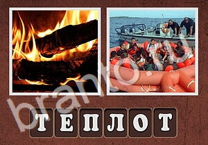 Гибриды ответы - шиповник, белая роза, бегун, девушка закрывает глаз рукой