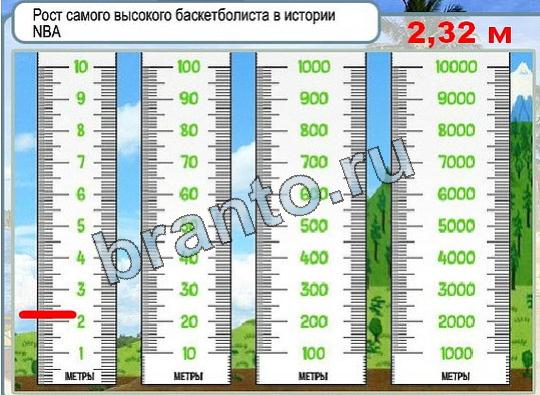 Игра Горячо-Холодно подсказки Уровень 1828 рост самого высокого баскетболиста