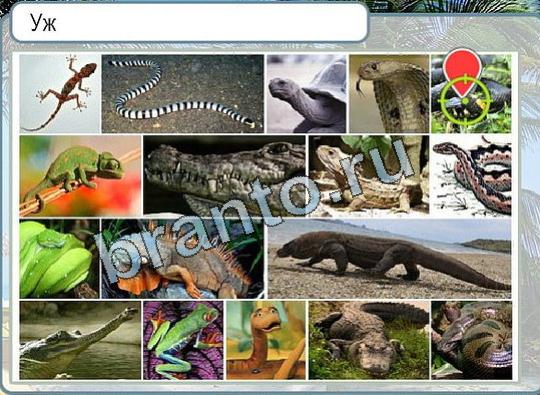 Подсказки Горячо-Холодно Уровень 1832 уж