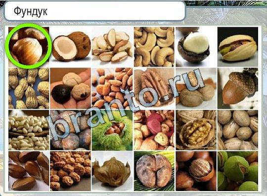 Горячо-Холодно решения Уровень 1842 Фундук