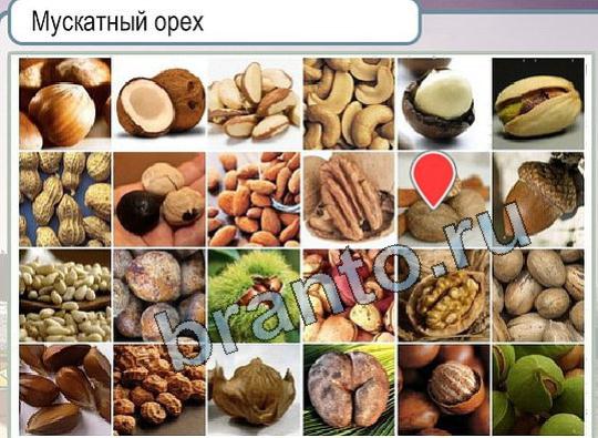 ответы к игре Горячо-Холодно Уровень 1865 Мускатный орех
