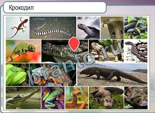 Горячо-Холодно решения Уровень 1872 Крокодил