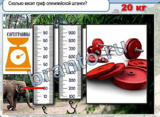 Горячо-Холодно решения Уровень 1912 гриф олимпийской штанги вес
