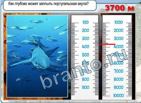 игра Горячо-Холодно помощь Уровень 1919 португальская акула глубина