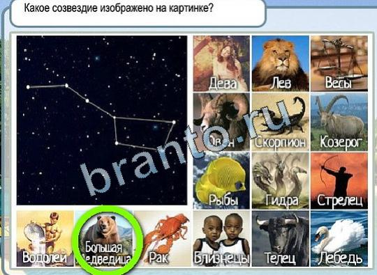 ответы на игру Горячо-Холодно Уровень 1921 печень