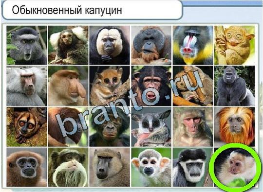 Решения на игру Горячо-Холодно Уровень 1923 автор Мёртвые души фото