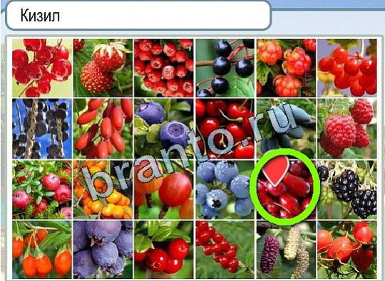 ответы к игре Горячо-Холодно Уровень 1925 Московский Кремль