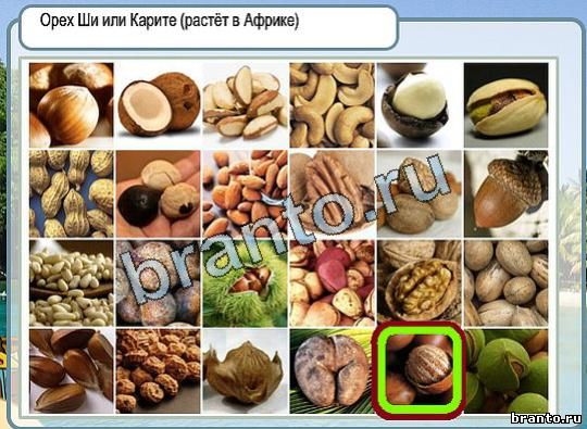 Горячо-Холодно игра ответы в одноклассниках Уровень 1927 Многоцветный лорикет