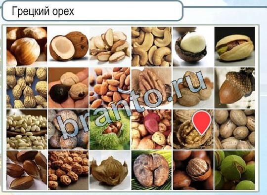 Решения на игру Горячо-Холодно Уровень 1953 автор Мёртвые души фото