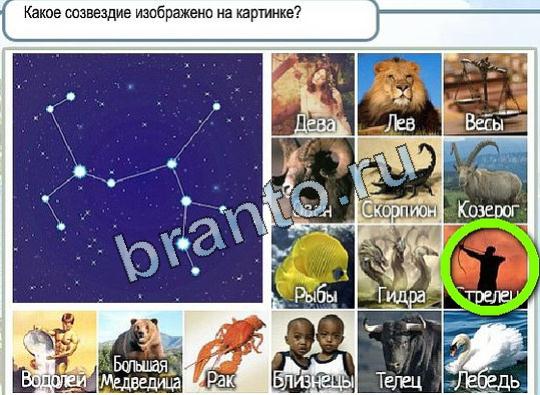 Горячо-Холодно игра ответы в одноклассниках Уровень 1957 Многоцветный лорикет