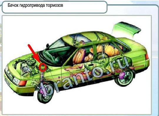 Игра Горячо-Холодно подсказки Уровень 1968 рыба лещ