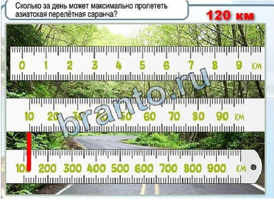 игра Горячо-Холодно помощь Уровень 1969