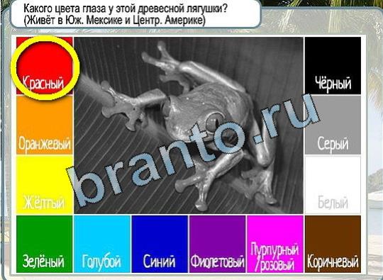 ответы на игру в одноклассниках Горячо-Холодно Уровень 1986 Голубика