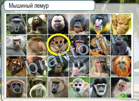 Горячо-Холодно ответы Уровень 1988 шляпа Клош