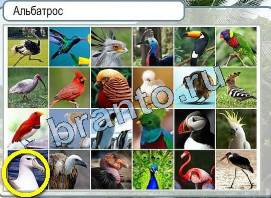 Помощь на игру Горячо-Холодно Уровень 2014 Кузя