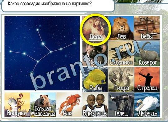 ответы на игру в одноклассниках Горячо-Холодно Уровень 2016 Голубика