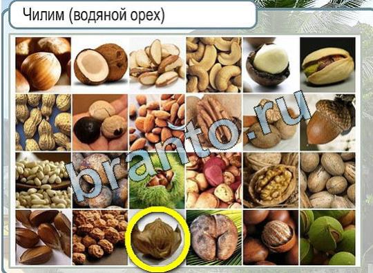 Горячо-Холодно ответы Уровень 2018 шляпа Клош