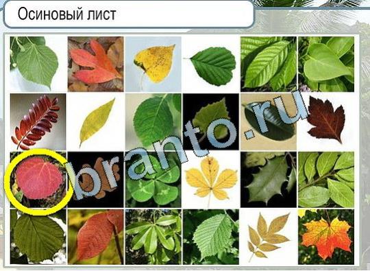 Горячо-Холодно игра помощь Уровень 2025 Наташа Королёва