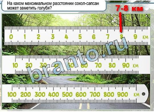 игра Горячо-Холодно помощь Уровень 2029