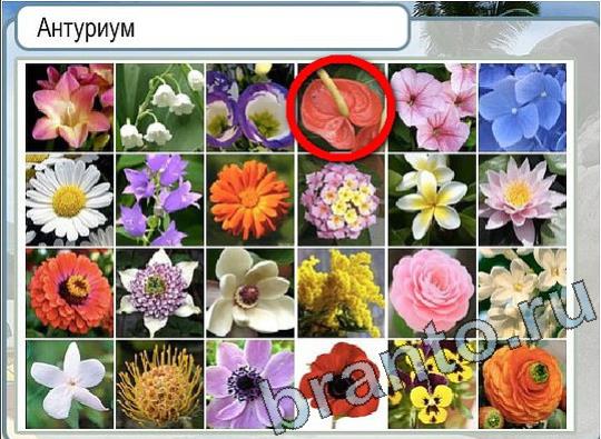 Горячо-Холодно игра ответы Уровень 2053