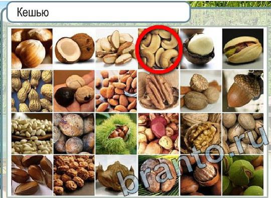ответы к игре Горячо-Холодно Уровень 2075 Московский Кремль