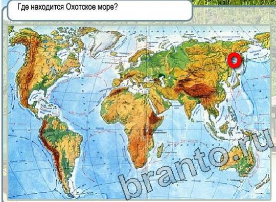 Игра Горячо-Холодно подсказки Уровень 2088 рыба лещ