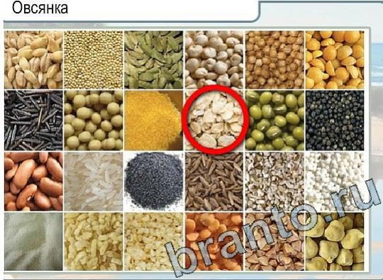 ответы на игру Горячо-Холодно Уровень 2101 печень