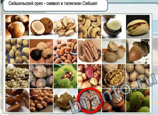 ответы к игре Горячо-Холодно Уровень 2105 Московский Кремль