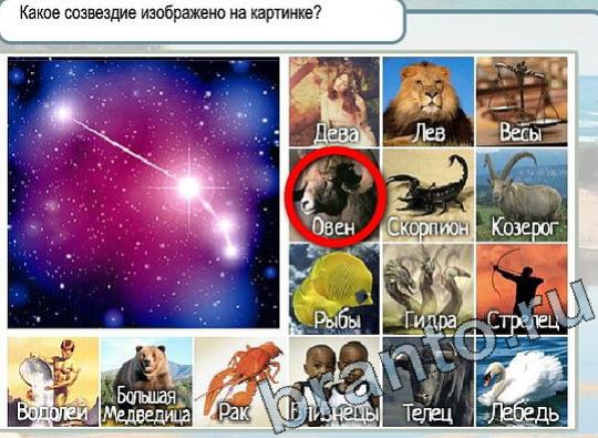 ответы на игру в одноклассниках Горячо-Холодно Уровень 2106 Голубика