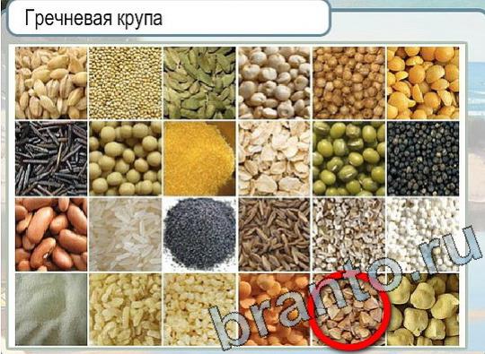 Горячо-Холодно решения Уровень 2112 Пищевод