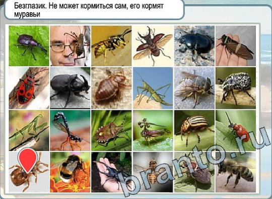 Игра Горячо-Холодно ответы Уровень 2127