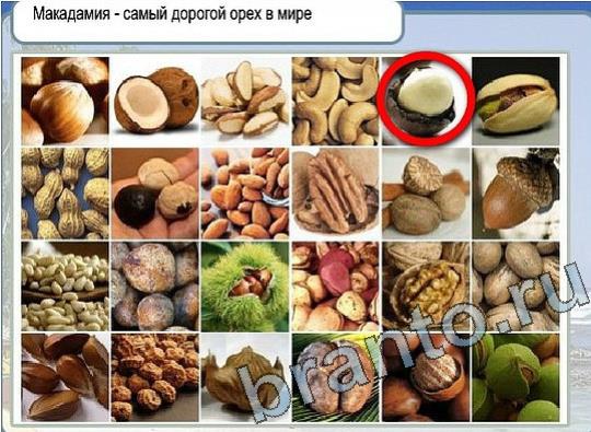 Помощь на игру Горячо-Холодно Уровень 2194 Кузя