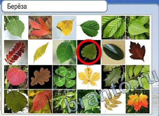 Горячо-Холодно решения Уровень 2202 Пищевод