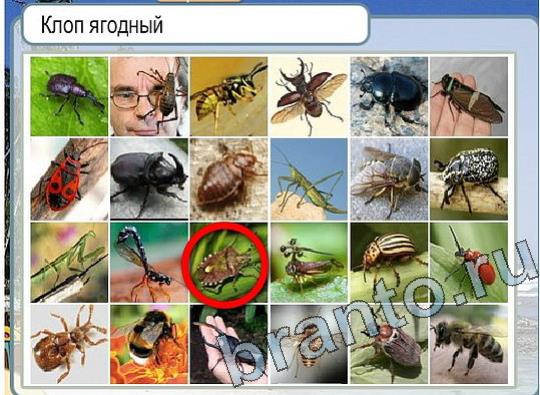 решебник на игру Горячо-Холодно Уровень 2211