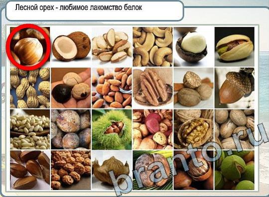 Решения на игру Горячо-Холодно Уровень 2223 автор Мёртвые души фото