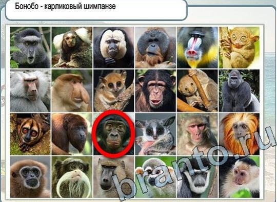 ответы к игре Горячо-Холодно Уровень 2225 Московский Кремль