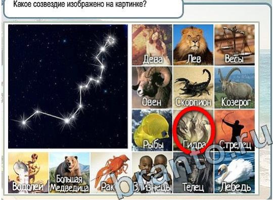 Горячо-Холодно игра ответы в одноклассниках Уровень 2227 Многоцветный лорикет