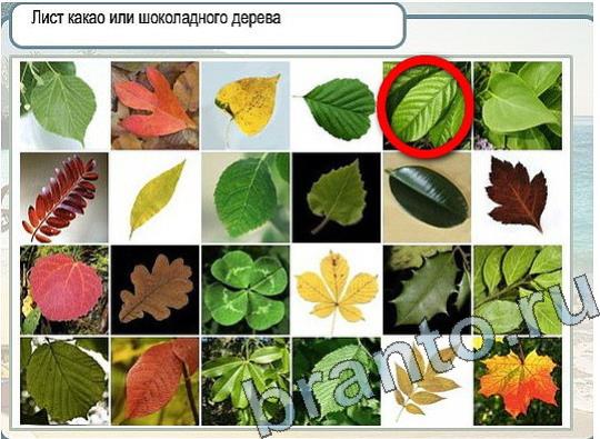 Горячо-Холодно игра подсказки Уровень 2234